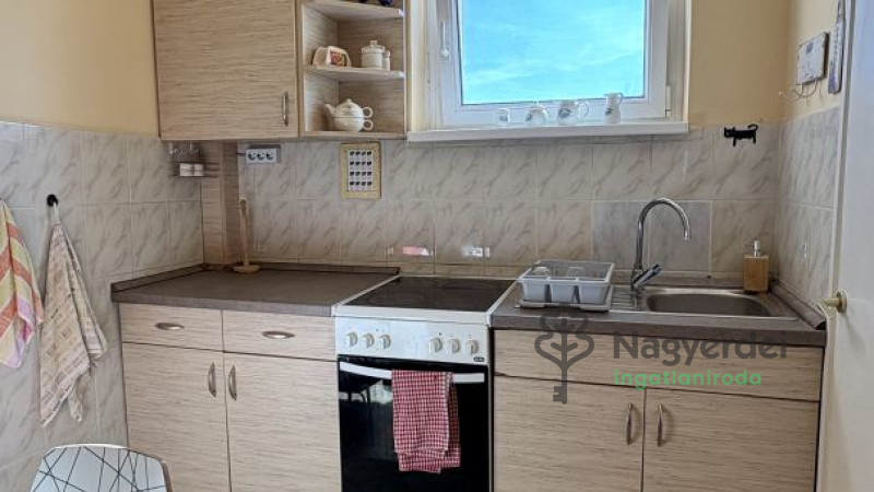 Debrecen, Nagyerdő, Lakás, tégla lakás  