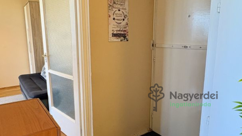 Debrecen, Nagyerdő, Lakás, tégla lakás  