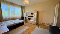 Debrecen, Nagyerdő, Lakás, tégla lakás  