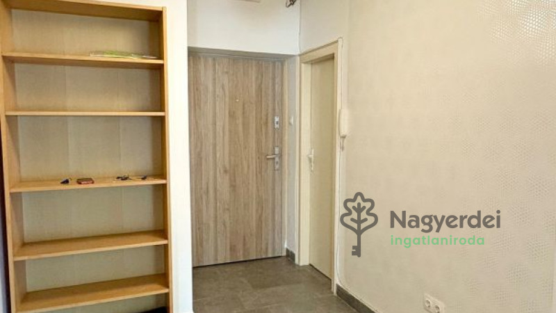 Debrecen, Nagyerdő, Lakás, tégla lakás  