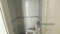 Debrecen, Nagyerdő, Lakás, tégla lakás  