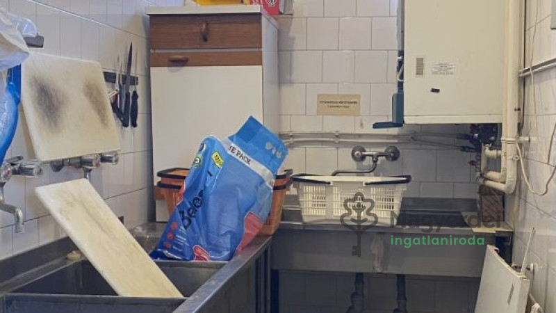 Téglás, Kereskedelmi ingatlan, panzió  