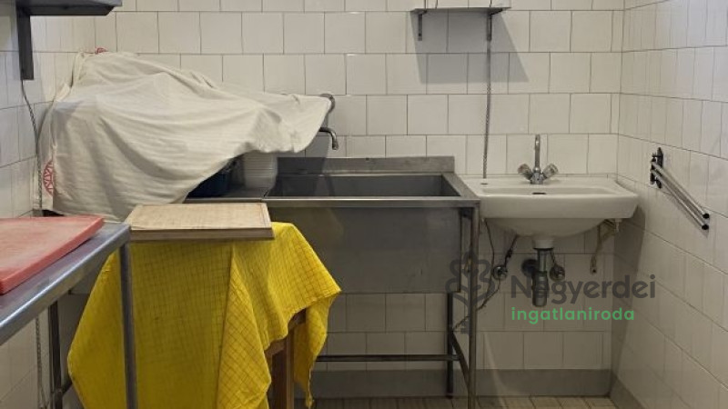 Téglás, Kereskedelmi ingatlan, panzió  