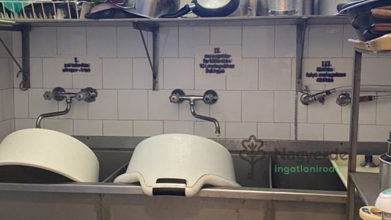 Téglás, Kereskedelmi ingatlan, panzió  